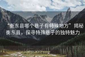 “衡東縣哪個(gè)巷子有特殊地方”揭秘衡東縣，探尋特殊巷子的獨(dú)特魅力