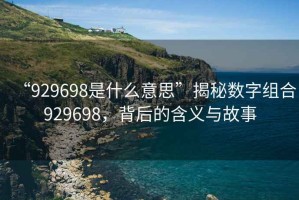 “929698是什么意思”揭秘數字組合929698，背后的含義與故事