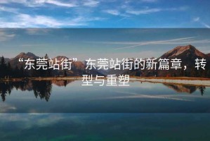 “東莞站街”東莞站街的新篇章，轉(zhuǎn)型與重塑