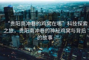 “貴陽南沖巷的雞窩在哪”科技探索之旅，貴陽南沖巷的神秘雞窩與背后的故事