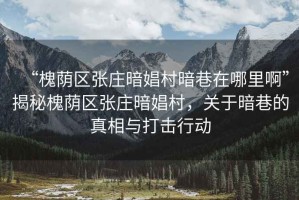 “槐蔭區(qū)張莊暗娼村暗巷在哪里啊”揭秘槐蔭區(qū)張莊暗娼村，關于暗巷的真相與打擊行動