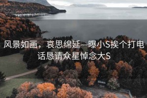 風景如畫，哀思綿延—曝小S挨個打電話懇請眾星悼念大S