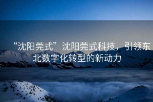 “沈陽莞式”沈陽莞式科技，引領東北數字化轉型的新動力