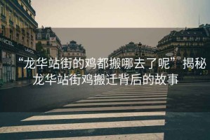 “龍華站街的雞都搬哪去了呢”揭秘龍華站街雞搬遷背后的故事