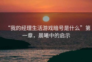 “我的經(jīng)理生活游戲暗號是什么”第一章，晨曦中的啟示