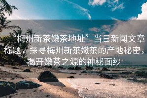 “梅州新茶嫩茶地址”當日新聞文章標題，探尋梅州新茶嫩茶的產(chǎn)地秘密，揭開嫩茶之源的神秘面紗