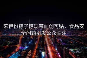 來伊份粽子驚現(xiàn)帶血創(chuàng)可貼，食品安全問題引發(fā)公眾關(guān)注