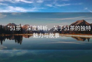 “51茶”深度解析，關于51茶的獨特魅力與故事