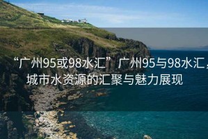 “廣州95或98水匯”廣州95與98水匯，城市水資源的匯聚與魅力展現