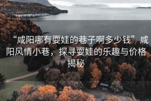 “咸陽哪有耍娃的巷子啊多少錢”咸陽風(fēng)情小巷，探尋耍娃的樂趣與價(jià)格揭秘
