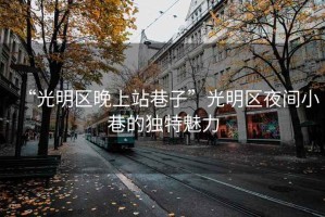“光明區晚上站巷子”光明區夜間小巷的獨特魅力