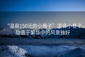 “溫縣150元的小巷子”溫縣小巷子，隱匿于繁華中的風景獨好