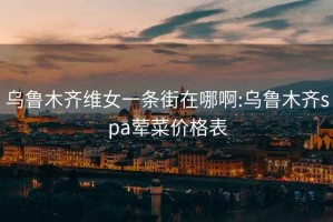 烏魯木齊維女一條街在哪啊:烏魯木齊spa葷菜價格表