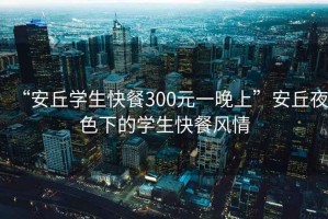 “安丘學生快餐300元一晚上”安丘夜色下的學生快餐風情