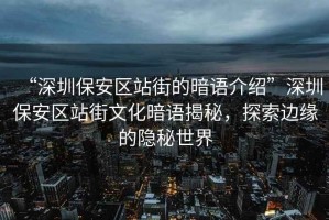 “深圳保安區站街的暗語介紹”深圳保安區站街文化暗語揭秘，探索邊緣的隱秘世界