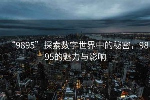 “9895”探索數字世界中的秘密，9895的魅力與影響