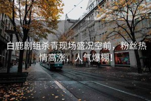 白鹿劇組殺青現場盛況空前，粉絲熱情高漲，人氣爆棚！