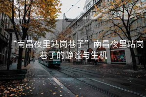 “南昌夜里站崗巷子”南昌夜里站崗巷子的靜謐與生機