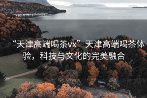 “天津高端喝茶vx”天津高端喝茶體驗，科技與文化的完美融合