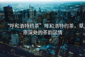“呼和浩特約茶”呼和浩特約茶，草原深處的茶韻風情