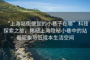 “上海站街便宜的小巷子在哪”科技探索之旅，揭秘上海隱秘小巷中的站街現(xiàn)象與低成本生活空間