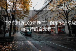 “衡東附近100元巷子”衡東附近隱秘而獨特的百元巷子