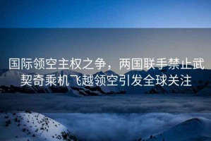國(guó)際領(lǐng)空主權(quán)之爭(zhēng)，兩國(guó)聯(lián)手禁止武契奇乘機(jī)飛越領(lǐng)空引發(fā)全球關(guān)注