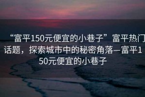 “富平150元便宜的小巷子”富平熱門話題，探索城市中的秘密角落—富平150元便宜的小巷子