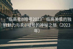 “臨高賣B暗號2023”臨高美景的獨特魅力與賣B暗號的神秘之旅（2023年）