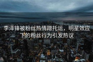 李澤鋒被粉絲熱情蹭托運(yùn)，明星效應(yīng)下的粉絲行為引發(fā)熱議