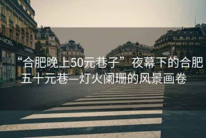 “合肥晚上50元巷子”夜幕下的合肥五十元巷—燈火闌珊的風景畫卷