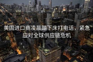 美國進口商凌晨蹦下床打電話，緊急應對全球供應鏈危機