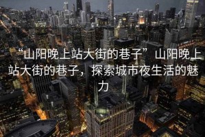 “山陽晚上站大街的巷子”山陽晚上站大街的巷子，探索城市夜生活的魅力