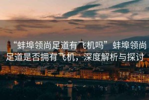 “蚌埠領尚足道有飛機嗎”蚌埠領尚足道是否擁有飛機，深度解析與探討