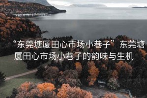“東莞塘廈田心市場小巷子”東莞塘廈田心市場小巷子的韻味與生機