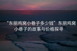 “東麗雞窩小巷子多少錢”東麗雞窩小巷子的故事與價格探尋