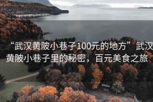 “武漢黃陂小巷子100元的地方”武漢黃陂小巷子里的秘密，百元美食之旅