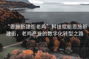 “恩施新建街老雞”科技賦能恩施新建街，老雞產業的數字化轉型之路