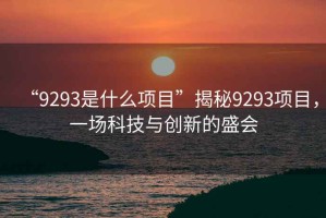 “9293是什么項目”揭秘9293項目，一場科技與創新的盛會