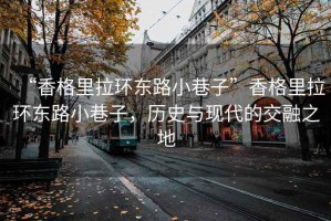 “香格里拉環東路小巷子”香格里拉環東路小巷子，歷史與現代的交融之地