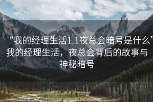 “我的經理生活1.1夜總會暗號是什么”我的經理生活，夜總會背后的故事與神秘暗號