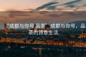 “成都與你號 品茶”成都與你號，品茶的詩意生活