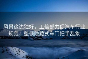 風景這邊獨好，工信部力促汽車行業規范，整頓隱藏式車門把手亂象