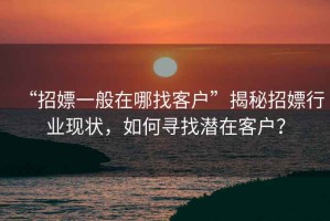 “招嫖一般在哪找客戶”揭秘招嫖行業現狀，如何尋找潛在客戶？