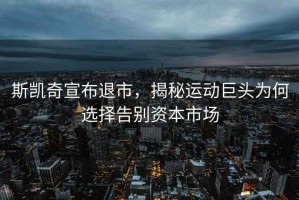 斯凱奇宣布退市，揭秘運動巨頭為何選擇告別資本市場