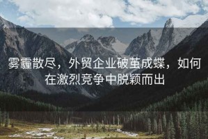霧霾散盡，外貿企業破繭成蝶，如何在激烈競爭中脫穎而出