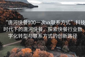 “唐河快餐100一次vx聯系方式”科技時代下的唐河快餐，探索快餐行業數字化轉型與聯系方式的創新路徑