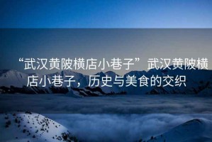 “武漢黃陂橫店小巷子”武漢黃陂橫店小巷子，歷史與美食的交織