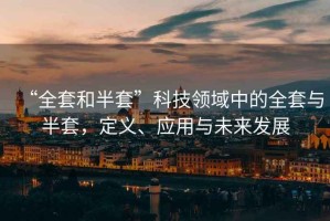 “全套和半套”科技領域中的全套與半套，定義、應用與未來發展