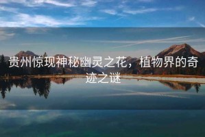 貴州驚現神秘幽靈之花，植物界的奇跡之謎